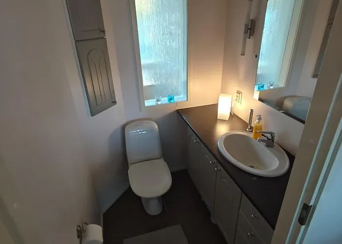 Daire Arctic Treehouse *